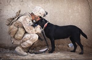 PTSD Man with Dog