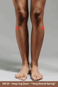 Acupuncture point Gallbladder 34