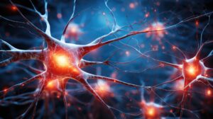 neurons communicate with each other