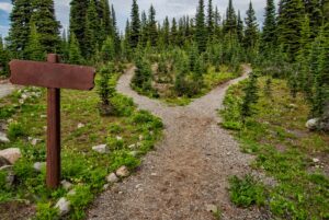 Two paths in nature
