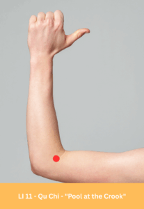 LI 11 Acupuncture point shown on arm